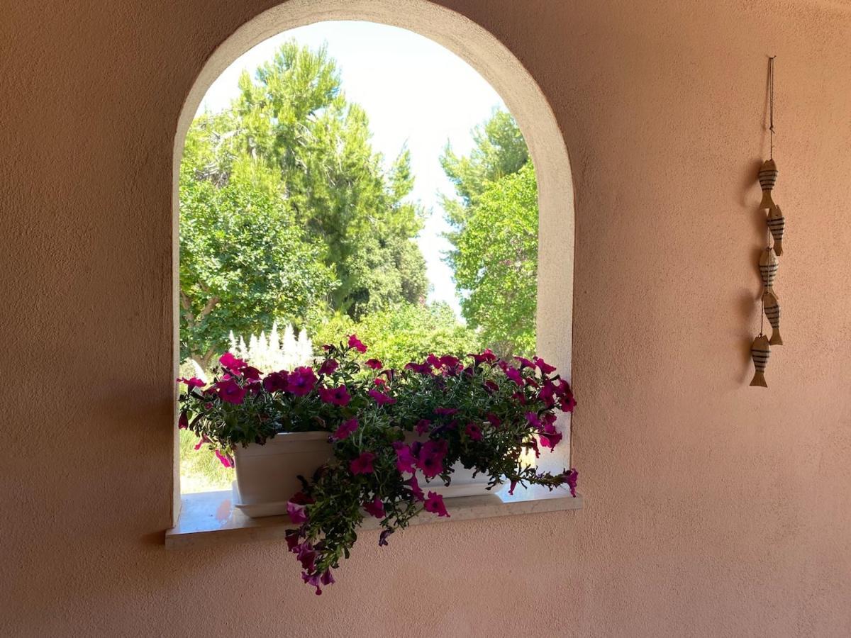 Villa Giulia - Rome — Photos 1